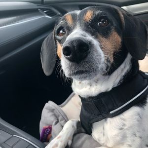 Meet your Posher, Richard